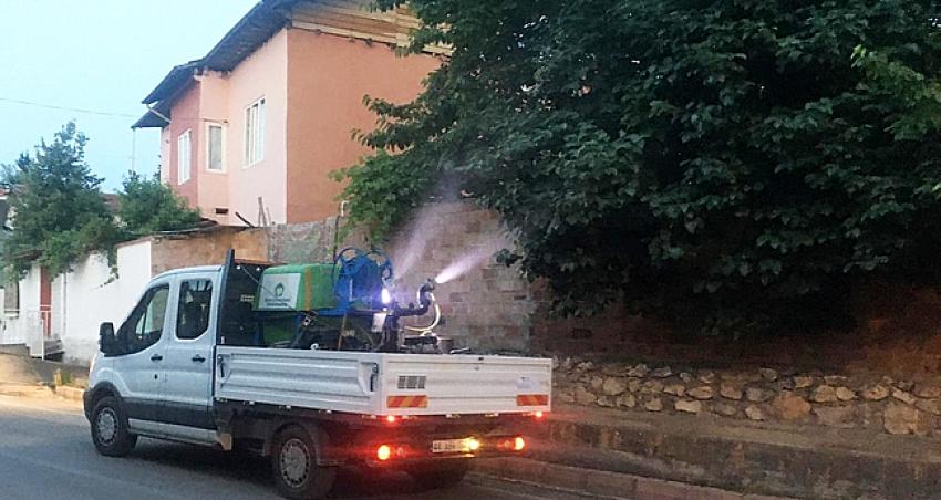 İlaçlama Öngörülüyor Mu?