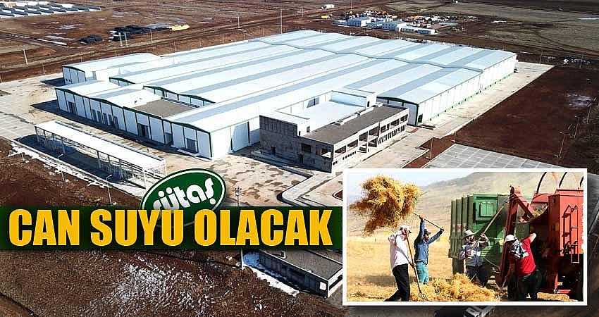 SÜTAŞ, EKONOMİDE CAN SUYU OLACAK