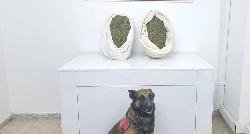 Narkotik Operasyonu: 1 Tutuklama