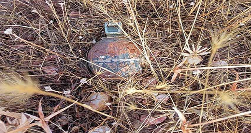 BİNGÖL’DE EL BOMBASI VE MAYIN İMHA EDİLDİ