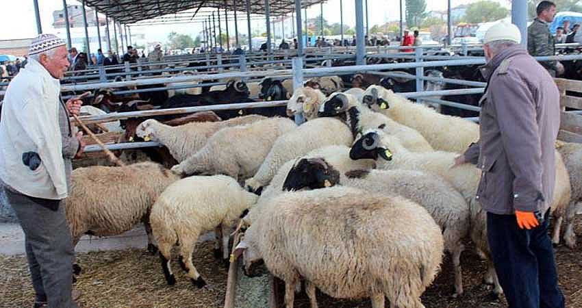  KURBAN SATIŞ YERLERİ BELİRLENDİ