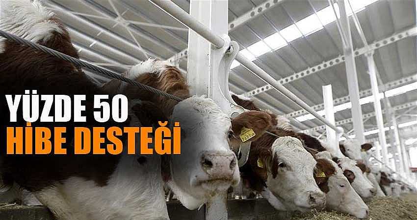 YÜZDE 50 HİBE DESTEĞİ