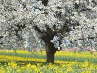 Bahar Havası: Termometreler 21’i Görecek