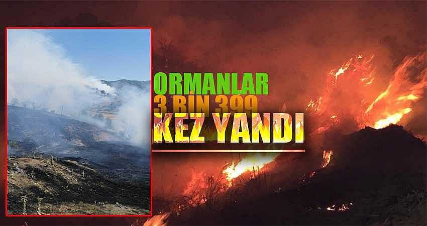 ORMANLAR 3 BİN 399 KEZ YANDI