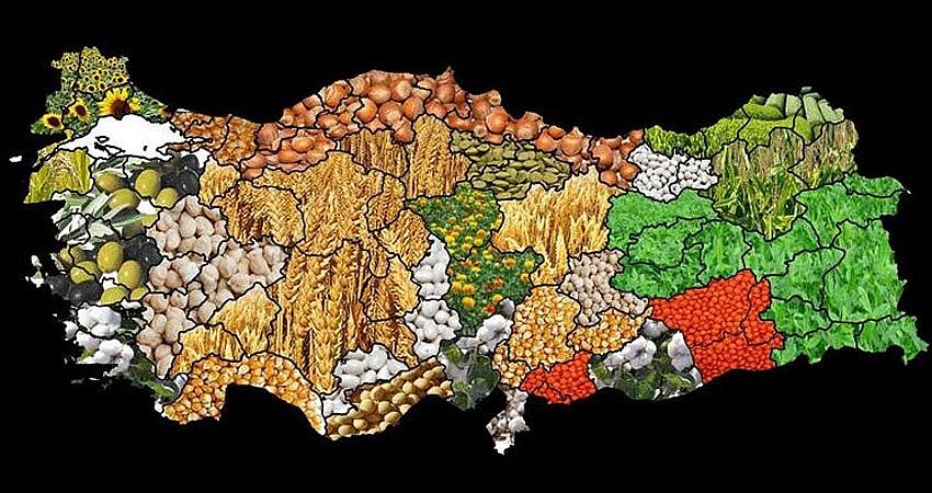 BİNGÖL’DE DESTEKLENECEK ÜRÜNLER AÇIKLANDI