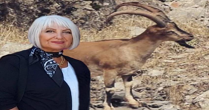 AVCILIK KURALLARINA UYULMALI